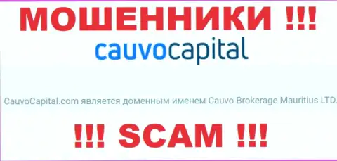 Аферисты Cauvo Capital принадлежат юридическому лицу - Кауво Брокеридж Маврикий ЛТД