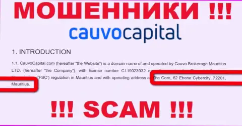 Невозможно забрать обратно финансовые вложения у CauvoCapital - они пустили корни в офшоре по адресу: The Core, 62 Ebene Cybercity, 72201, Mauritius